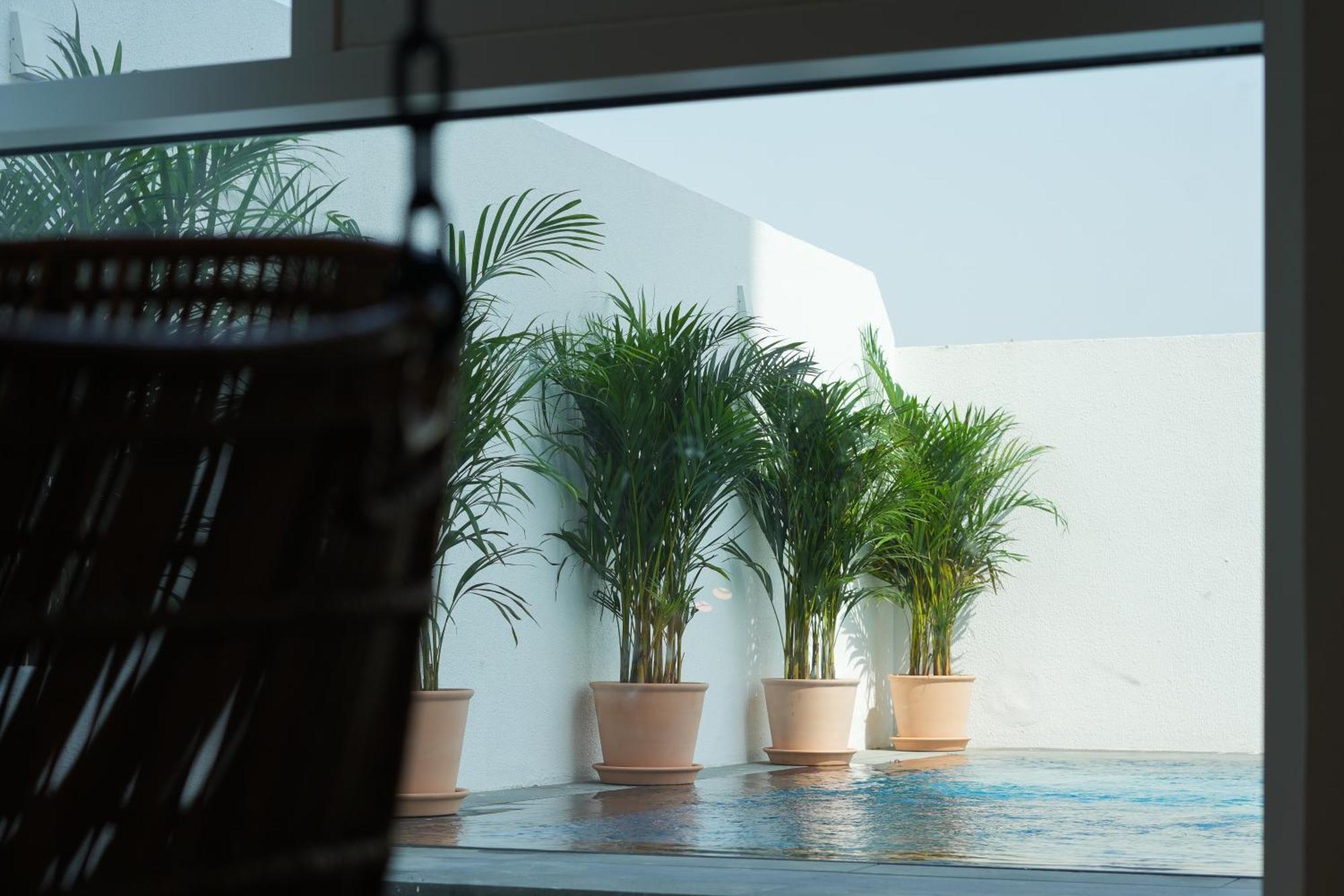 Shada Hotel Jumeirah Garden Dubai Exterior photo